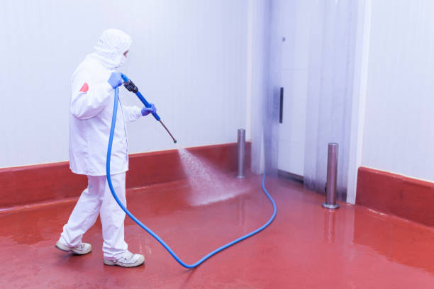 Best Patio and Deck Pressure Washing  in Ecru, MS